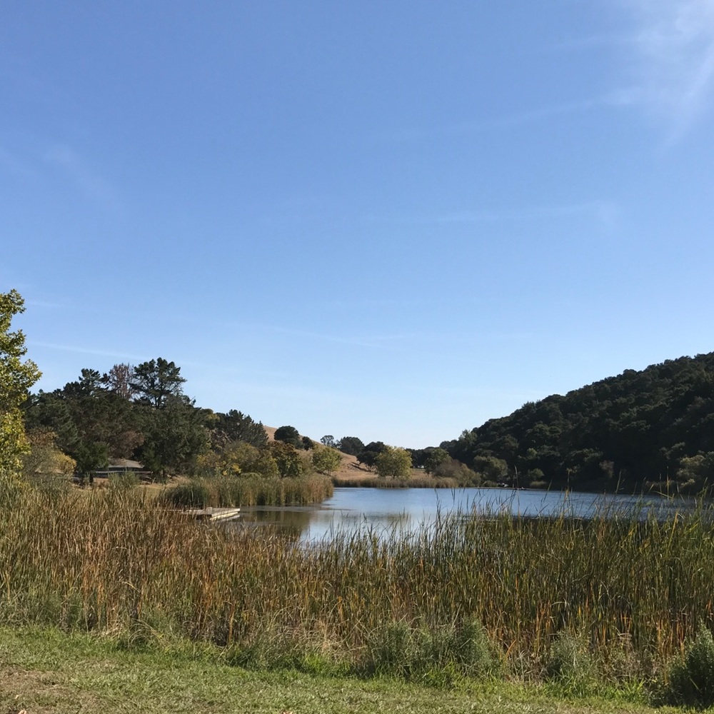 Meet your Posher, True